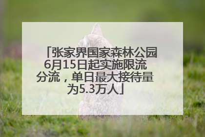张家界国家森林公园6月15日起实施限流分流，单日最大接待量为5.3万人
