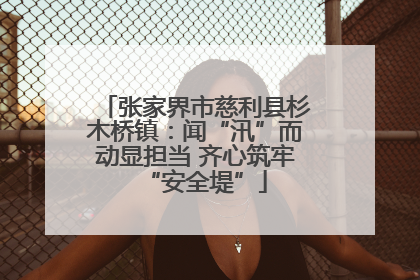 张家界市慈利县杉木桥镇：闻“汛”而动显担当 齐心筑牢“安全堤”