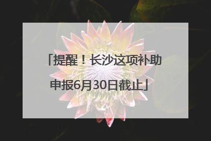 提醒！长沙这项补助申报6月30日截止