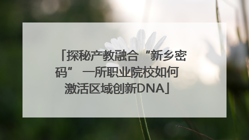 探秘产教融合“新乡密码” 一所职业院校如何激活区域创新DNA