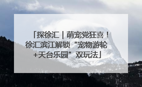 探徐汇｜萌宠党狂喜！徐汇滨江解锁“宠物游轮+天台乐园”双玩法