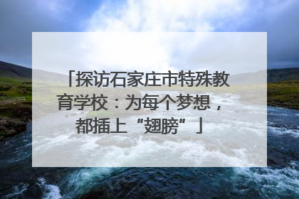 探访石家庄市特殊教育学校：为每个梦想，都插上“翅膀”