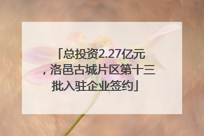 总投资2.27亿元，洛邑古城片区第十三批入驻企业签约