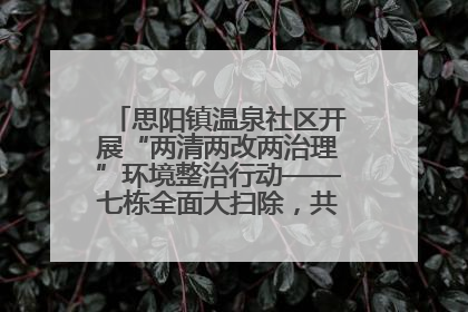 思阳镇温泉社区开展“两清两改两治理”环境整治行动——七栋全面大扫除，共建洁净家园