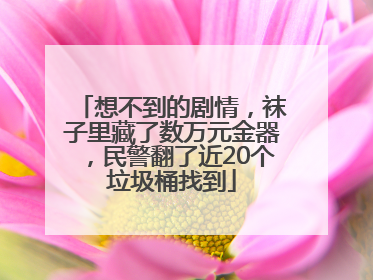 想不到的剧情，袜子里藏了数万元金器，民警翻了近20个垃圾桶找到