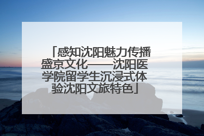 感知沈阳魅力传播盛京文化——沈阳医学院留学生沉浸式体验沈阳文旅特色