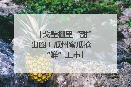 戈壁棚里“甜”出圈！瓜州蜜瓜抢“鲜”上市