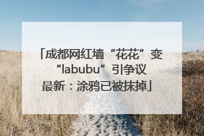 成都网红墙“花花”变“labubu”引争议 最新：涂鸦已被抹掉