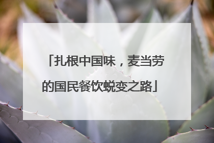 扎根中国味，麦当劳的国民餐饮蜕变之路