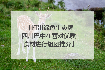 打出绿色生态牌 四川巴中在蓉对优质食材进行组团推介