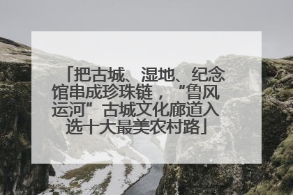 把古城、湿地、纪念馆串成珍珠链，“鲁风运河”古城文化廊道入选十大最美农村路