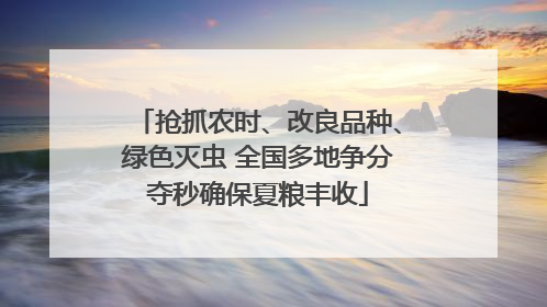 抢抓农时、改良品种、绿色灭虫 全国多地争分夺秒确保夏粮丰收