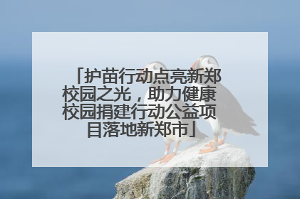 护苗行动点亮新郑校园之光，助力健康校园捐建行动公益项目落地新郑市
