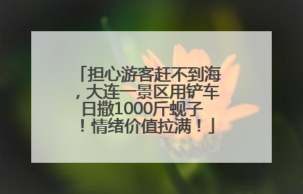 担心游客赶不到海，大连一景区用铲车日撒1000斤蚬子！情绪价值拉满！