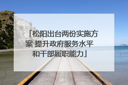 松阳出台两份实施方案 提升政府服务水平和干部履职能力
