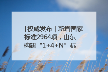 权威发布｜新增国家标准2964项，山东构建“1+4+N”标准化创新发展新格局
