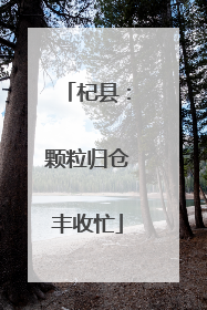 杞县：颗粒归仓丰收忙
