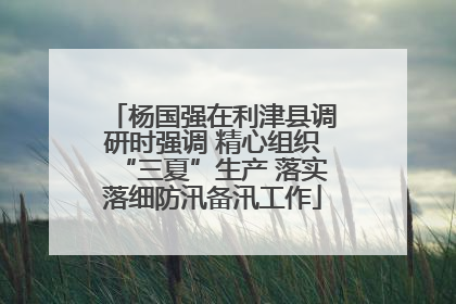 杨国强在利津县调研时强调 精心组织“三夏”生产 落实落细防汛备汛工作
