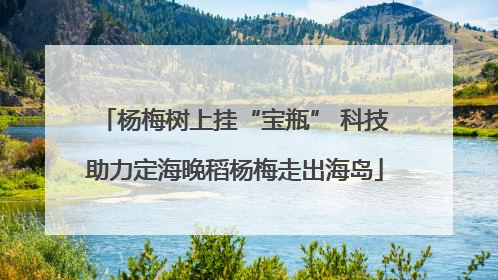 杨梅树上挂“宝瓶” 科技助力定海晚稻杨梅走出海岛