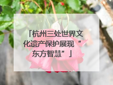 杭州三处世界文化遗产保护展现“东方智慧”