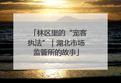 林区里的“宠客执法”｜湖北市场监管所的故事