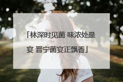 林深时见菌 味浓处是宴 晋宁菌宴正飘香