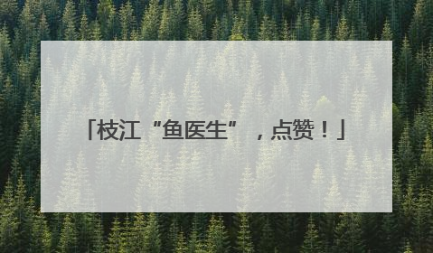 枝江“鱼医生”，点赞！