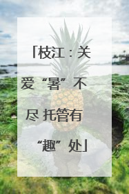 枝江：关爱“暑”不尽 托管有“趣”处