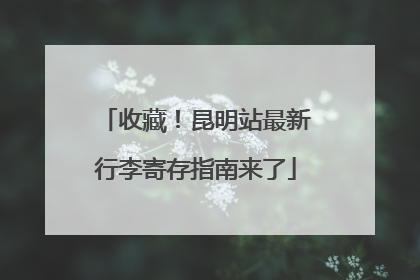 收藏！昆明站最新行李寄存指南来了