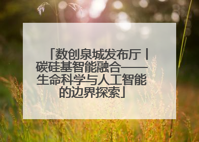 数创泉城发布厅丨碳硅基智能融合——生命科学与人工智能的边界探索