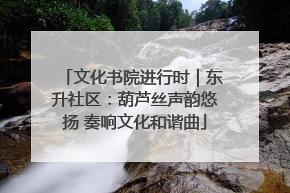 文化书院进行时｜东升社区：葫芦丝声韵悠扬 奏响文化和谐曲