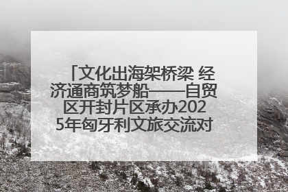 文化出海架桥梁 经济通商筑梦船——自贸区开封片区承办2025年匈牙利文旅交流对接活动专场