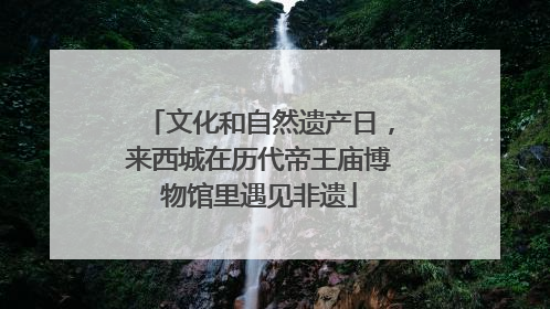文化和自然遗产日，来西城在历代帝王庙博物馆里遇见非遗