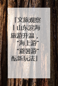 文旅观察丨山东滨海旅游升温，“海上游”“避暑游”酝新玩法