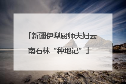 新疆伊犁厨师夫妇云南石林“种地记”
