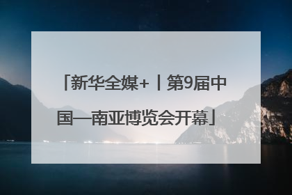 新华全媒+丨第9届中国—南亚博览会开幕