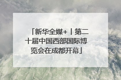 新华全媒+丨第二十届中国西部国际博览会在成都开幕