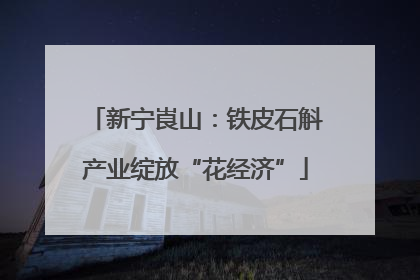 新宁崀山：铁皮石斛产业绽放“花经济”