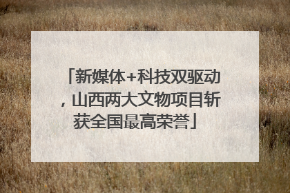 新媒体+科技双驱动，山西两大文物项目斩获全国最高荣誉