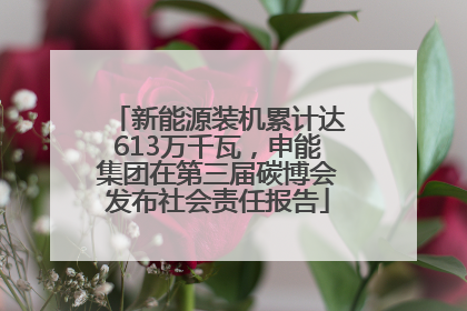 新能源装机累计达613万千瓦，申能集团在第三届碳博会发布社会责任报告