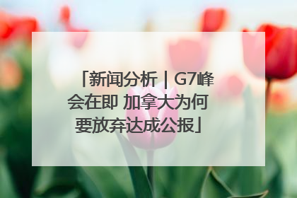 新闻分析｜G7峰会在即 加拿大为何要放弃达成公报