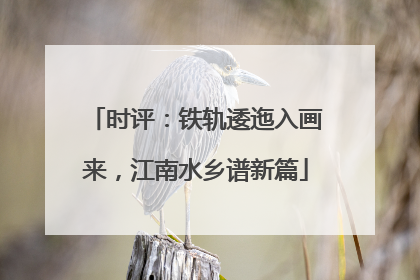 时评：铁轨逶迤入画来，江南水乡谱新篇
