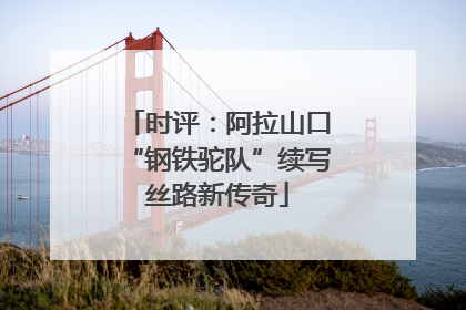 时评：阿拉山口“钢铁驼队”续写丝路新传奇
