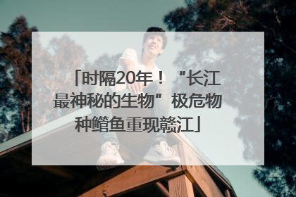 时隔20年！“长江最神秘的生物”极危物种鳤鱼重现赣江