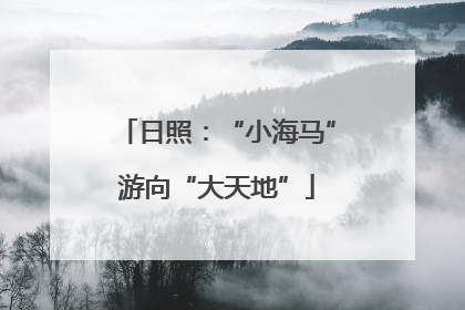日照：“小海马”游向“大天地”