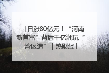 日涨80亿元！“河南新首富”背后千亿潮玩“湾区造”｜热财经