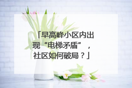 早高峰小区内出现“电梯矛盾”，社区如何破局？