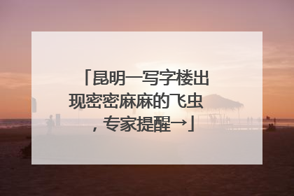 昆明一写字楼出现密密麻麻的飞虫，专家提醒→