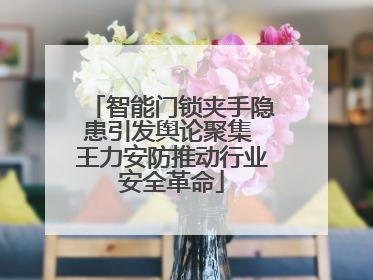 智能门锁夹手隐患引发舆论聚集 王力安防推动行业安全革命