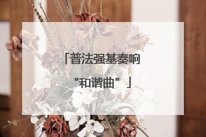 普法强基奏响“和谐曲”